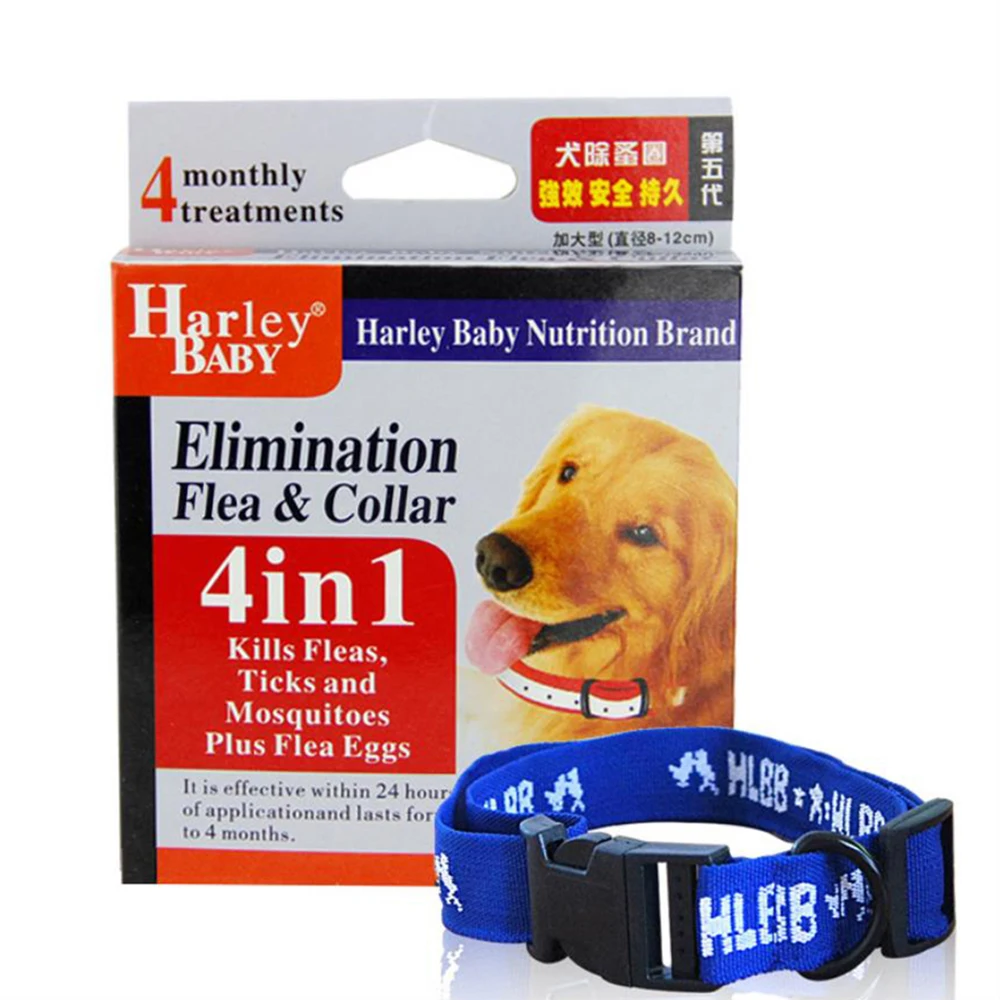 36020190417145559401