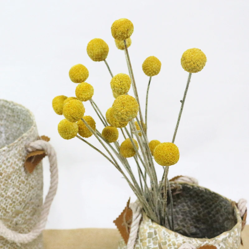 JAROWN Natural Dried Flowers Gold Ball Eternal Flores For Wedding DIY Bouquet Decorations Home Flower Arrangement Art (2)