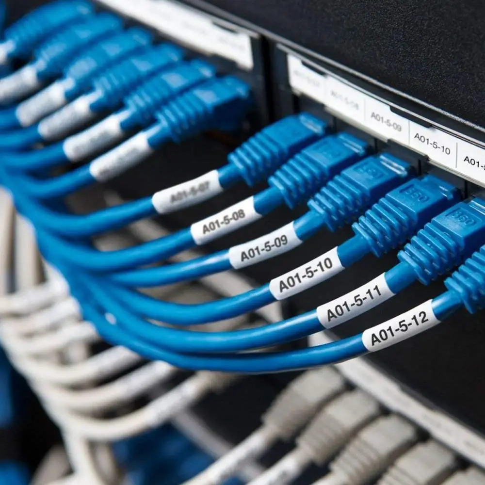 61jMdddCyaL._SL1000_