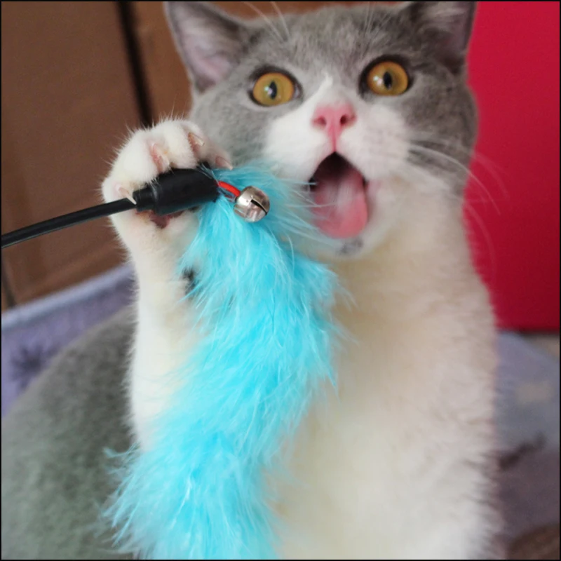 

Cat Teasing Stick with Colored Feathers, Cat Stick, Cat Toy