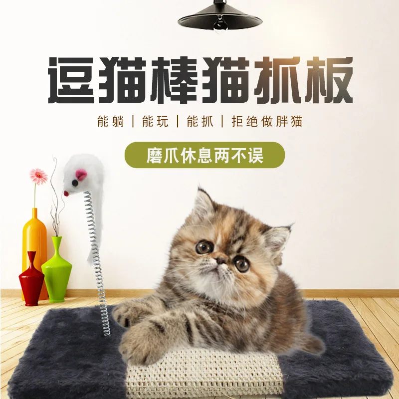 Cat scratching board spring funny ball cat toy supplies clawing toy cat