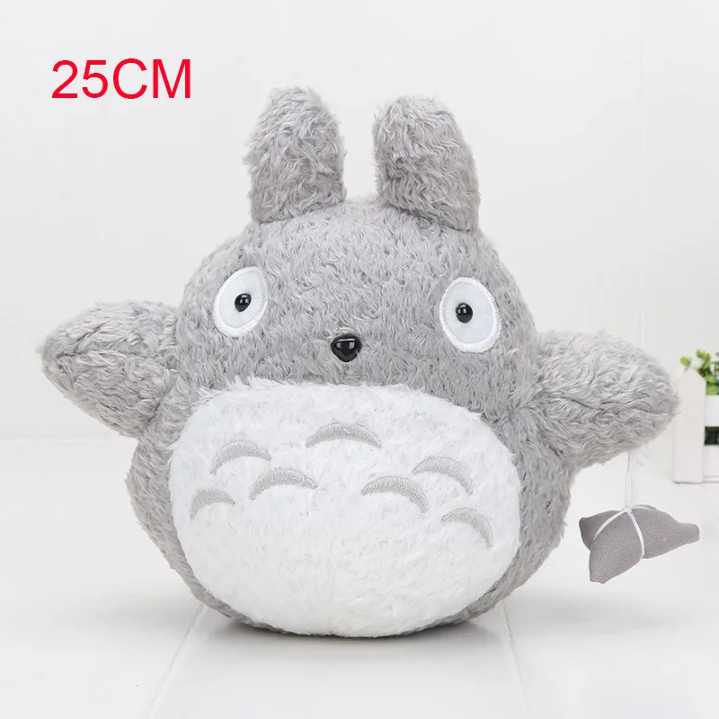 25CM