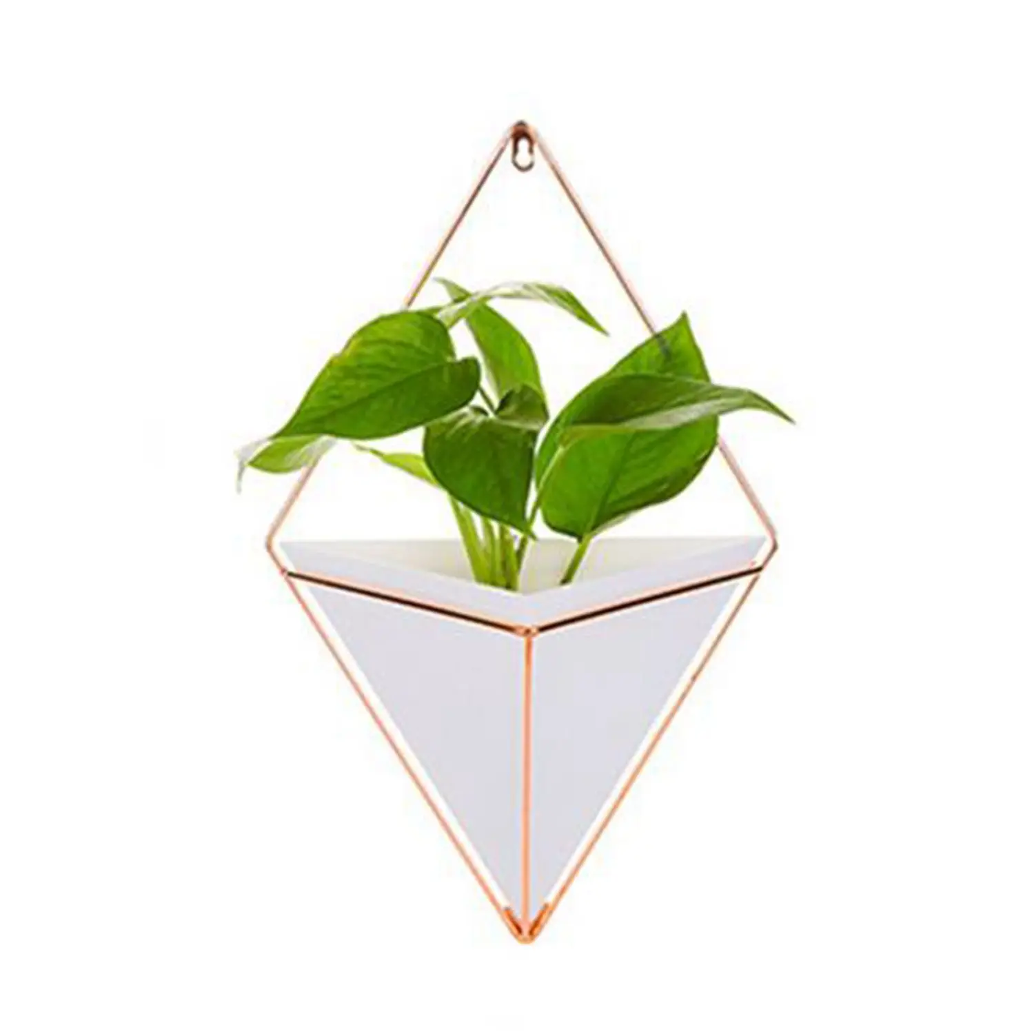 

Wall Hanging Container Storage Rack Household Innovative Indoor Living Room Ornament Decor Garden Geometric Succulents Plant P