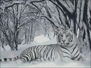 

100% Printed Unfinished Cross Stitch Patterns Sets Embroidery Handmade Needlework Kits, WhiteTtiger In Snow,Big Picture