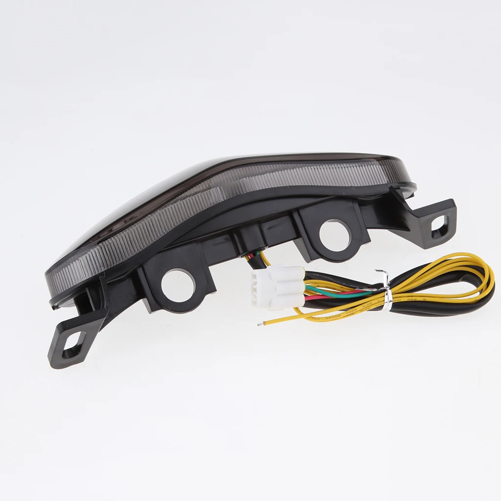 Motorcycle Integrated LED Tail Light for Kawasaki Ninja 650R/ER6N 2009-2011 LED Turn Signal Light Flashing Light Security Alarm