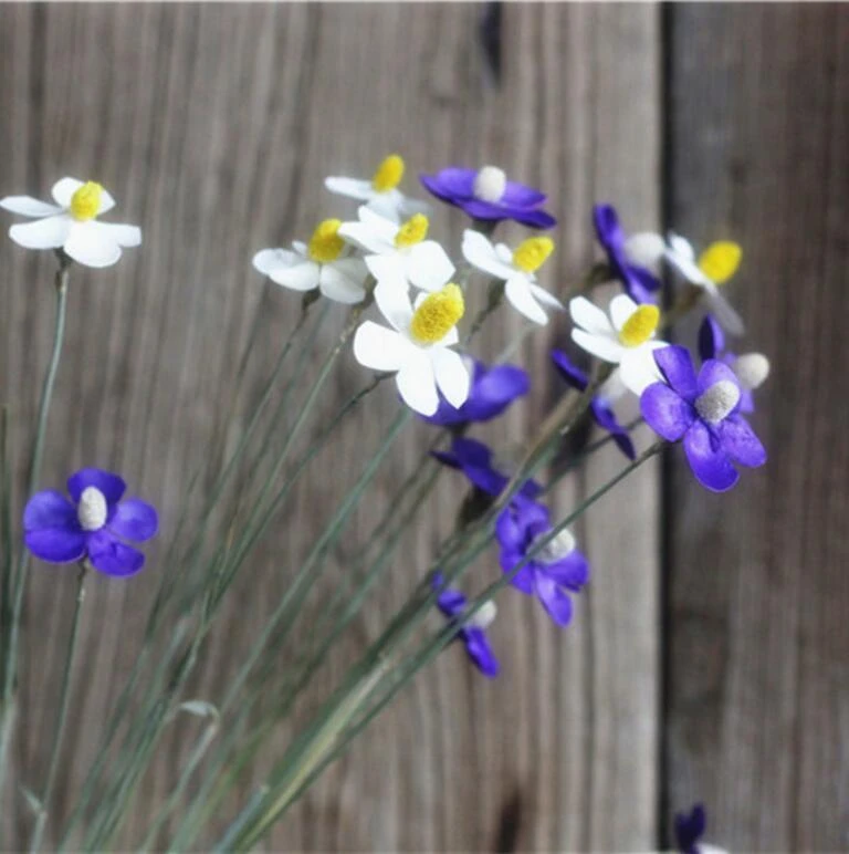 Fleur Matthiola Incana blanche/violette 15 pièces | Fleur séchée pour fête  de mariage, accessoire de projet bricolage, décoration d'hôtel maison |  AliExpress