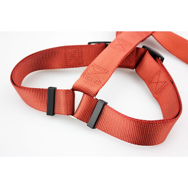 dog harness 4