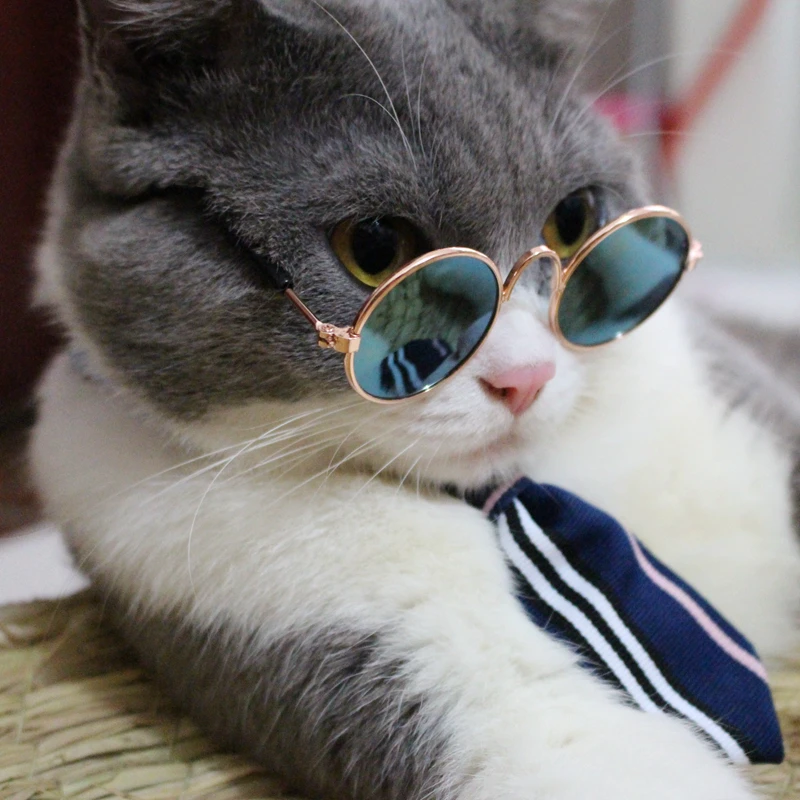 

[MPK Store] 2018 New Design Dog Collar, Cat Tie, Cat Collar, Pet Costume