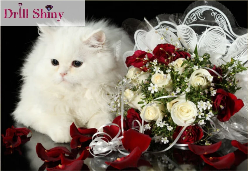 

Diamond mosaic Diy Diamond embroidery 3d Square drill picture of rhinestones Paste the full Diamond Painting Rose and cat