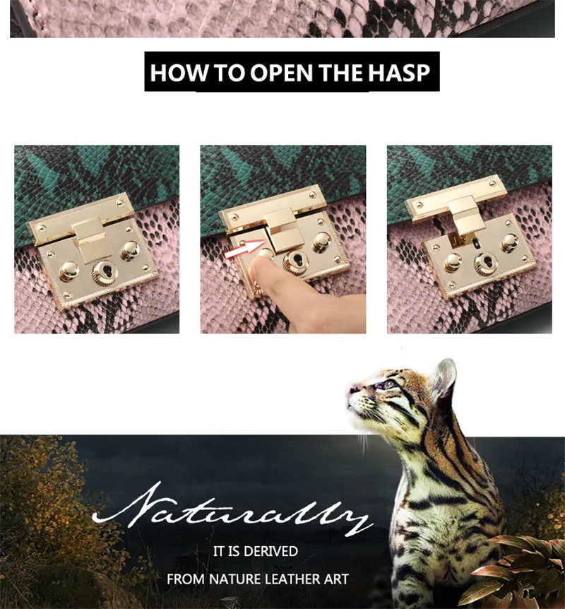 HTB1P5BSXgmTBuNjy1Xbq6yMrVXaK