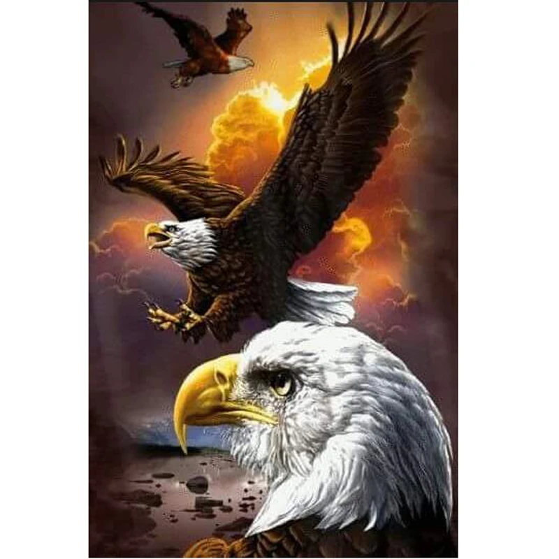 Ремесла полный 5D животных Ревущие Eagles Мозаики DIY алмаз Вышивка Home Decor картина
