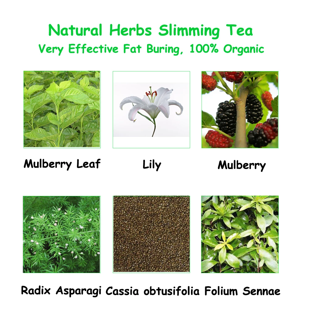 Chinese Weight Loss Tea Ingredients