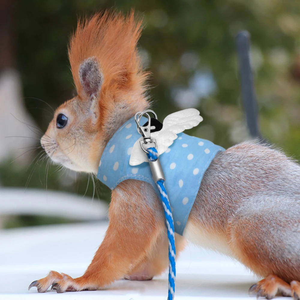 

Soft Rabbit Hamster Vest Harness and Leash Set Bunny Bowknot Chest Strap Harness for Small Animals Ferret Guinea Pig Walking