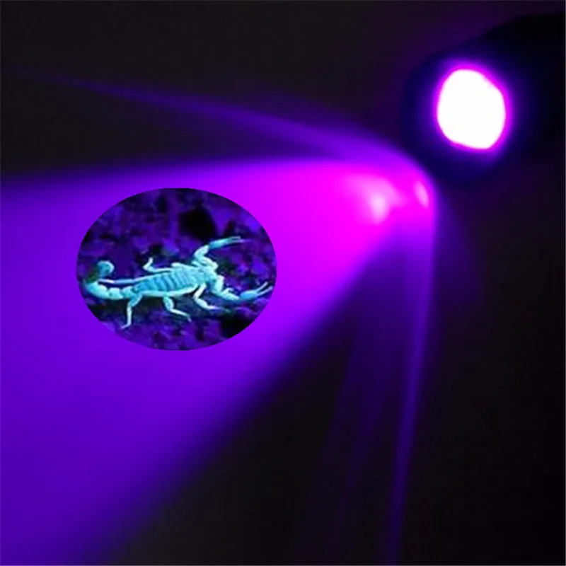 

High quality UV LED flashlight scorpion torch 395nm Purple violet light uv flashlight lamp torcia linterna