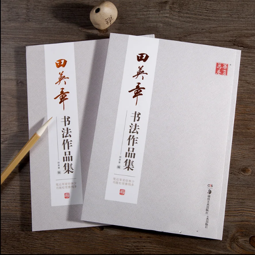 Encyclopedia of Chinese Calligraphy famous Copybook by Tian