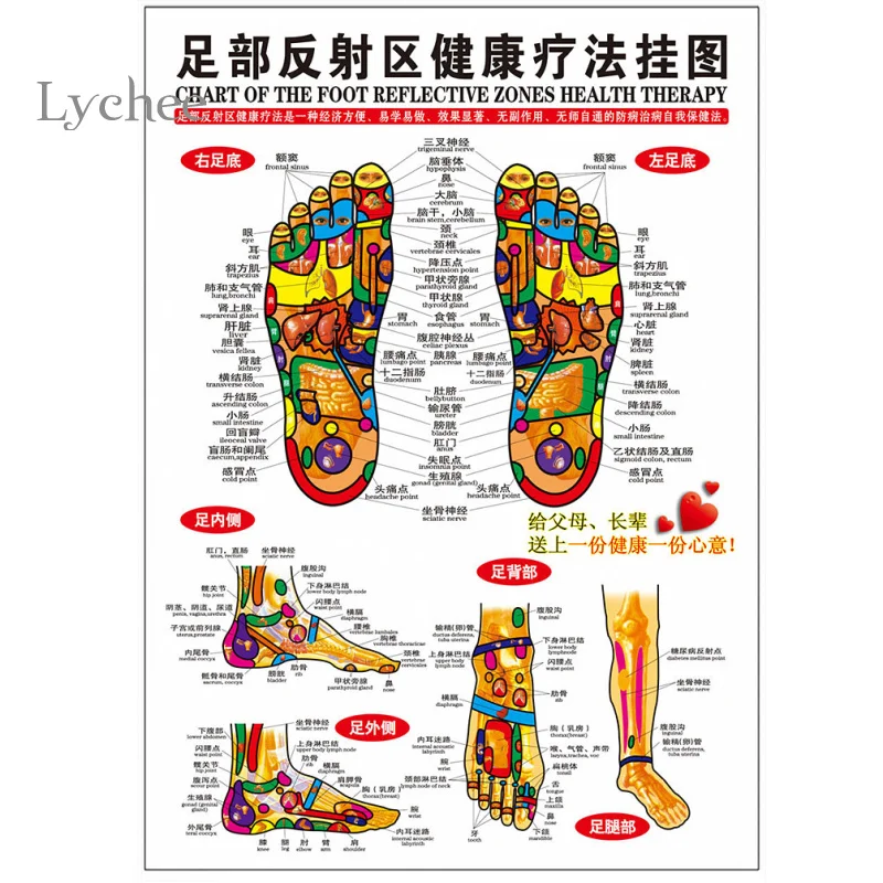 online buy wholesale reflexology chart from china reflexology zones chart