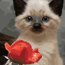 Бескаркасные картины по номерам краски по номерам для домашнего декора ПБН для гостиной 4050 котенок с розой