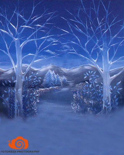 10 X 20ft Xmas/Winter Scenic Muslin Hand-Painted Photo studio Backdrop Background,christmas backdrop photography 10 X 20ft Xmas/Winter Scenic Muslin Hand-Painted Photo studio Backdrop Background,christmas backdrop photography