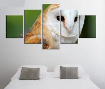 

5 Panels Cute Eagle Canvas Art Framed Paintings Nordic Decoration Quadri Da Parete Kids Room Wall Pictures For Living Room