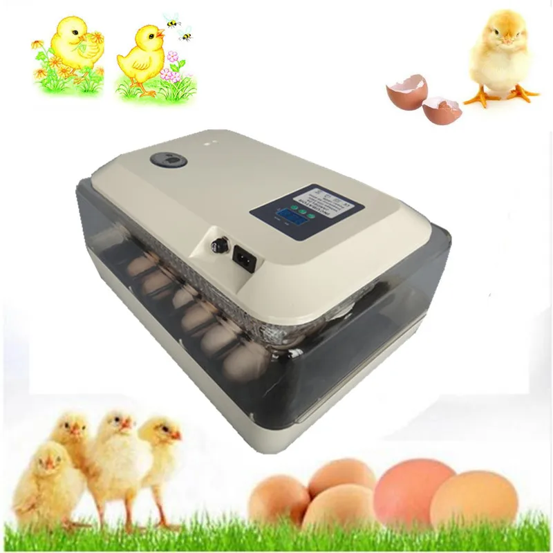 

Mini digital automatic 24 eggs incubator chicken ducks poultry hatcher hatching equipment tool machine