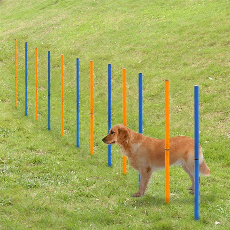 dog training poles