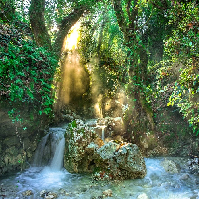 torrent-3119822_960_720
