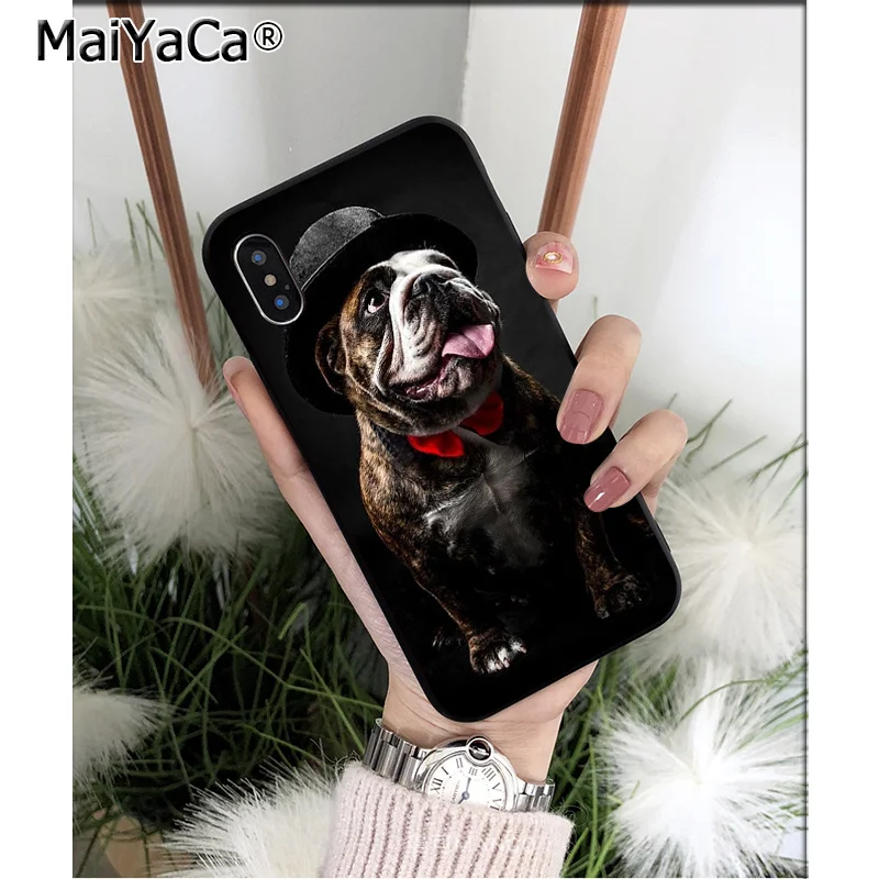 Cute Anime Bulldog