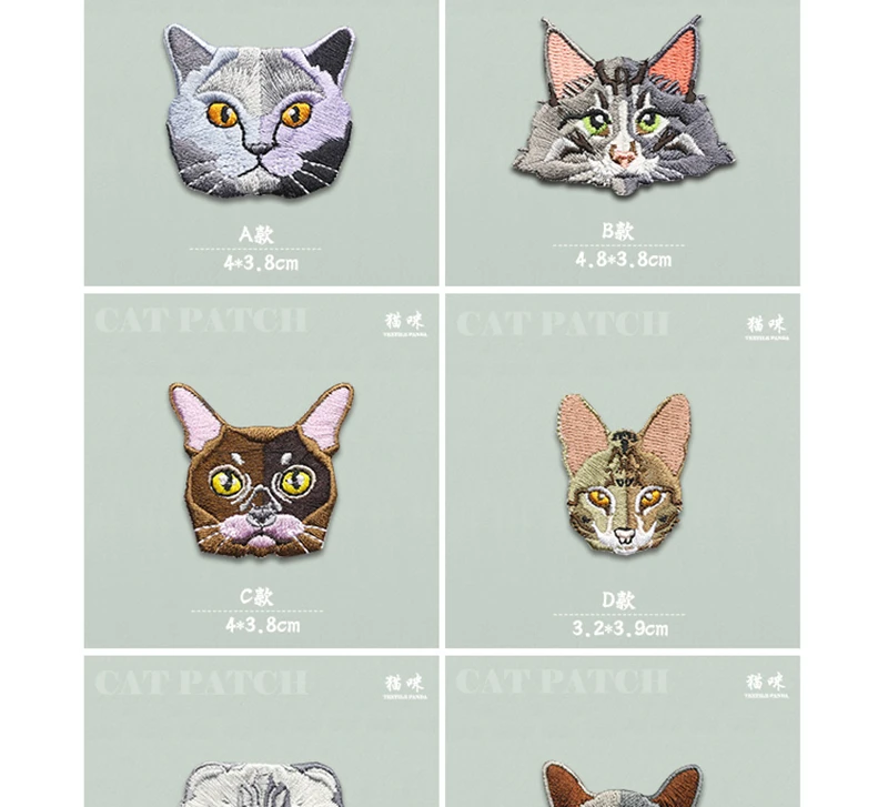 cat patch 6