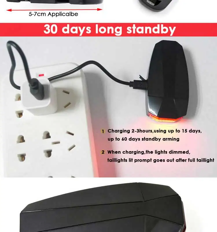 A6 tail light (9)