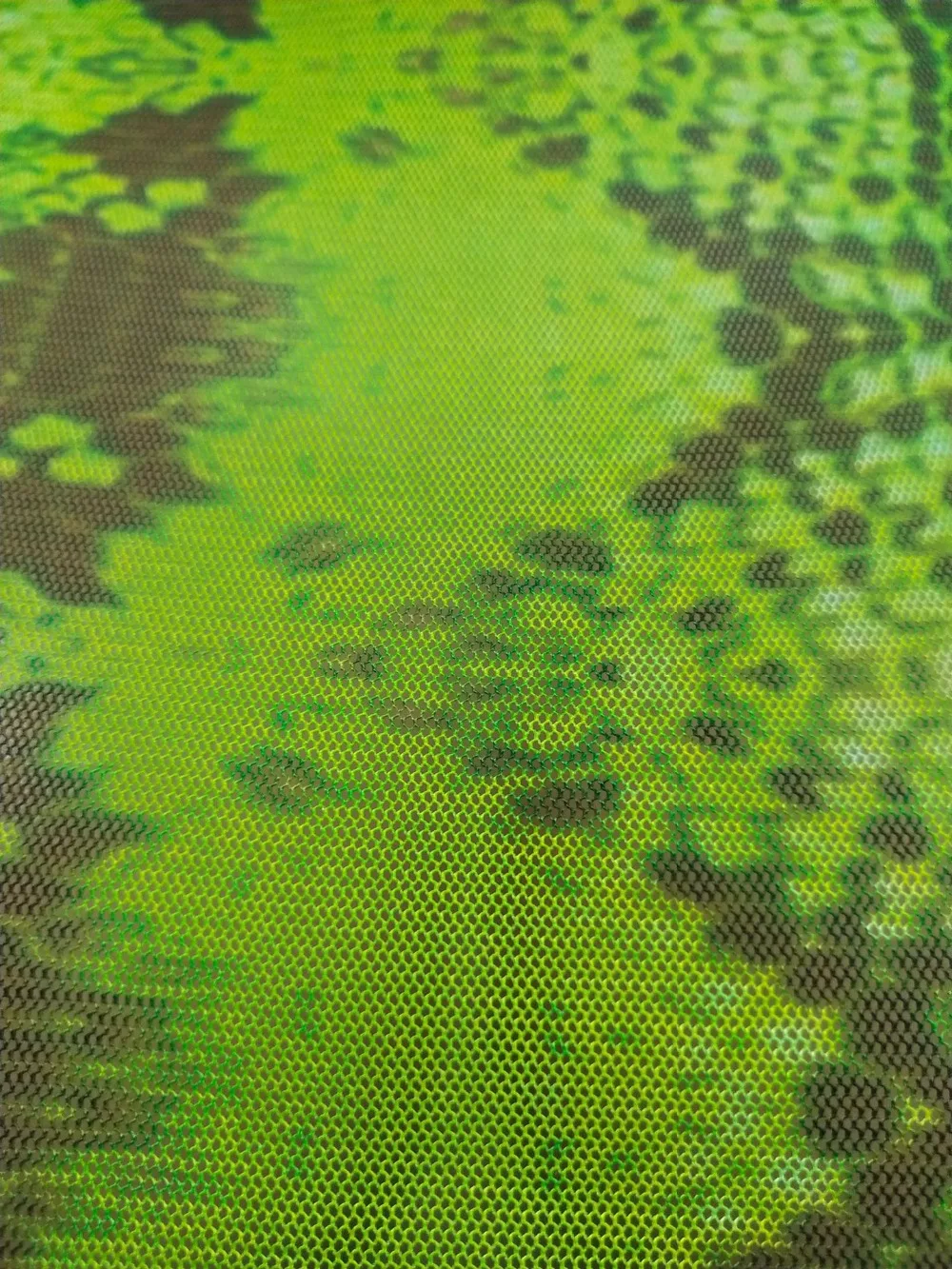 10774452326_728307966