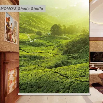 

MOMO Thermal Insulated Blackout Fabric Custom Green Window Curtains Roller Shades Blinds, Alice 51-54