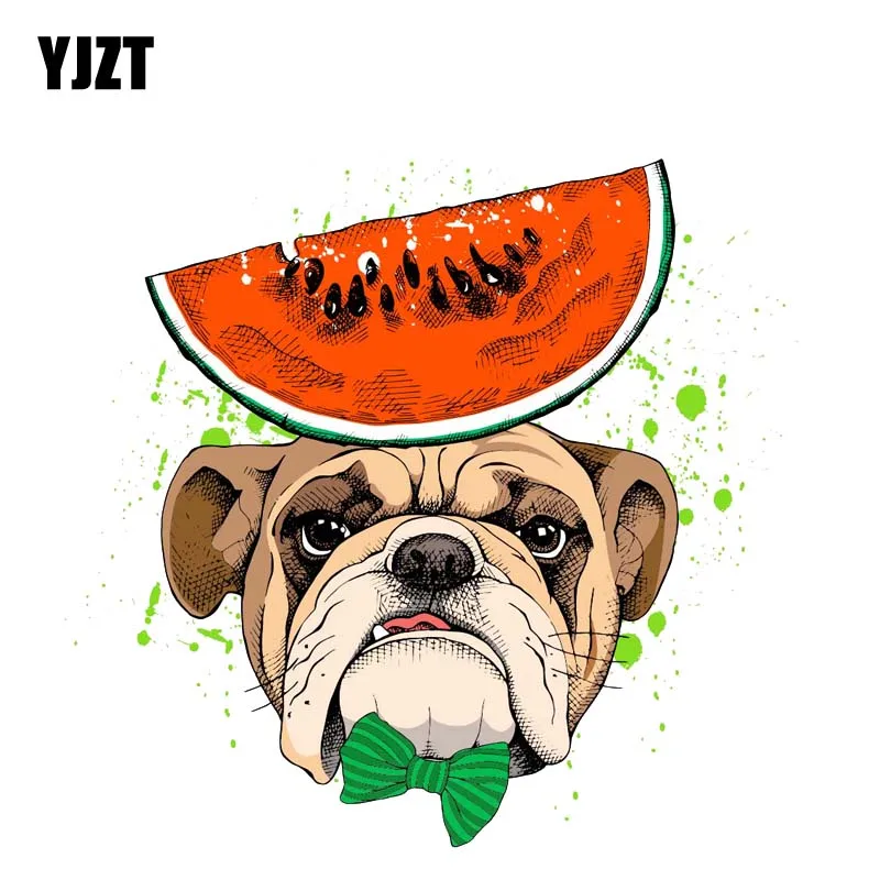 YJZT 14CM*13.5CM A Dog Eating Watermelon Decal Sticker Car PVC 12-300497 | Автомобили и мотоциклы