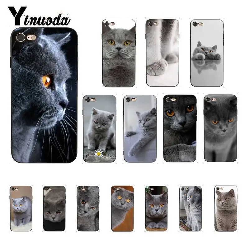 Yinuoda Британский короткошерстный чехол для iPhone 8 7 6 6S 6Plus X XS MAX 5 5S SE XR Fundas Capa 11 pro max |
