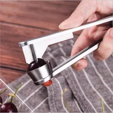 Chrerry Seeder Seed Remover Removal Tool Cherry Stoner Chinese Dates Pitter Hawthorn Seeder Tool Cherry Pitter cherry olive pitter for salad amp cooking