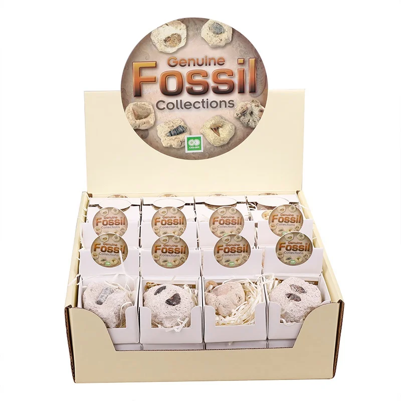 Fossil Stone интересный неправильный насекомое один образец имитирующий подарок для коллекции камней 1,5-2,5 см