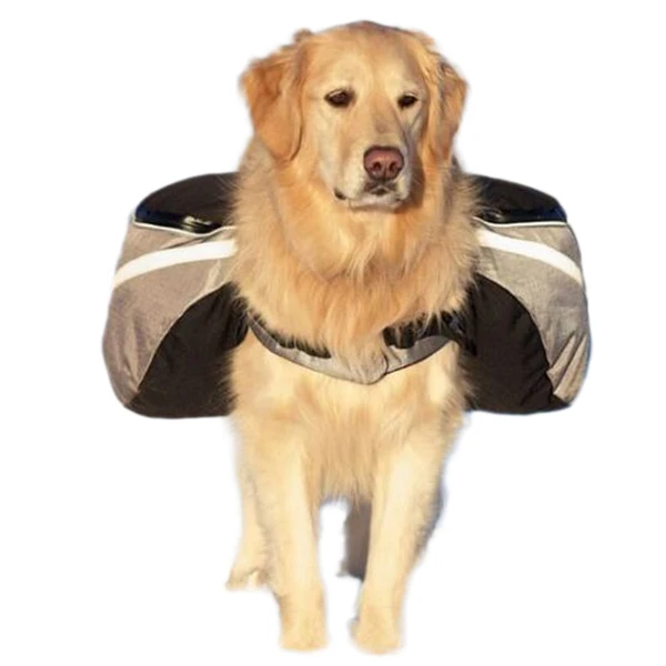 dog ramp for window