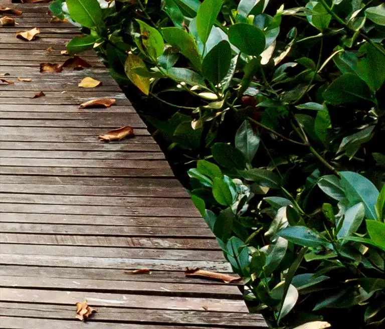 Самоклеящиеся обои для пола Роскошные Настенные бумажные 3D на заказ с листьями