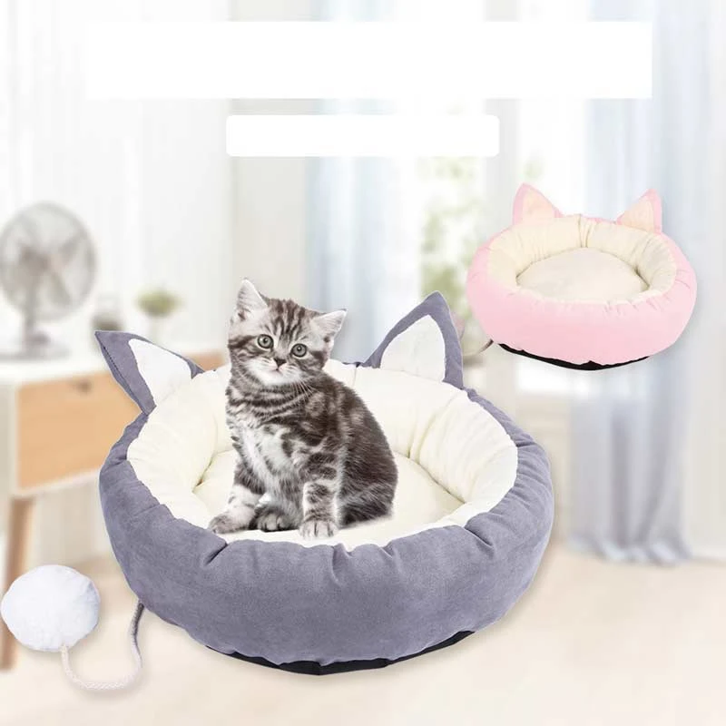 cat sofa
