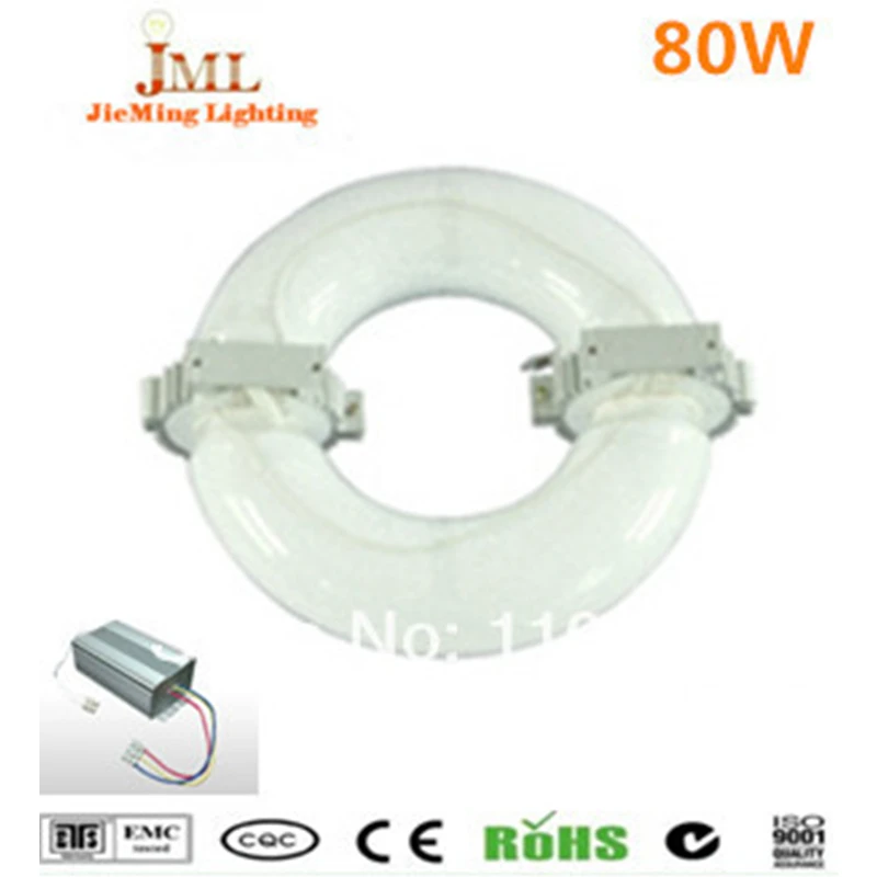 

80W AC85-265V induction lamps ballast induction warm white cold white color induction lamp 80W round lamps for living room