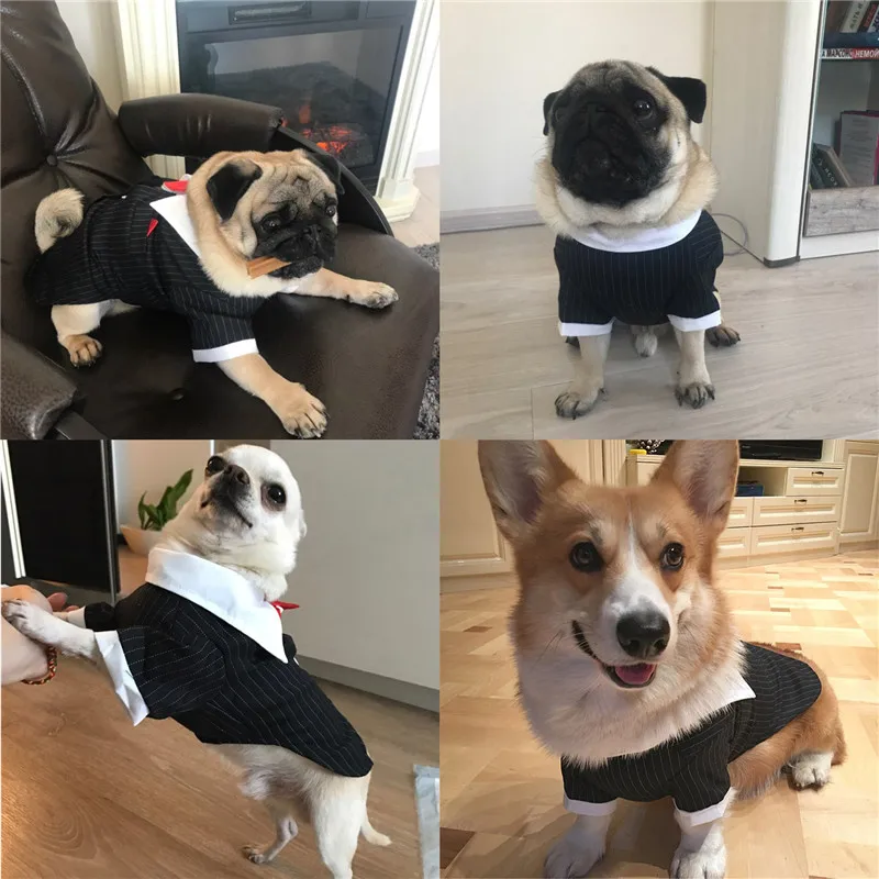 Puppy Dog Clothes Dog Wedding Suit Tuxedo Suit Coat With Bowtie Chihuahua Poodle Pug French Bulldog Pet Dog Clothes1