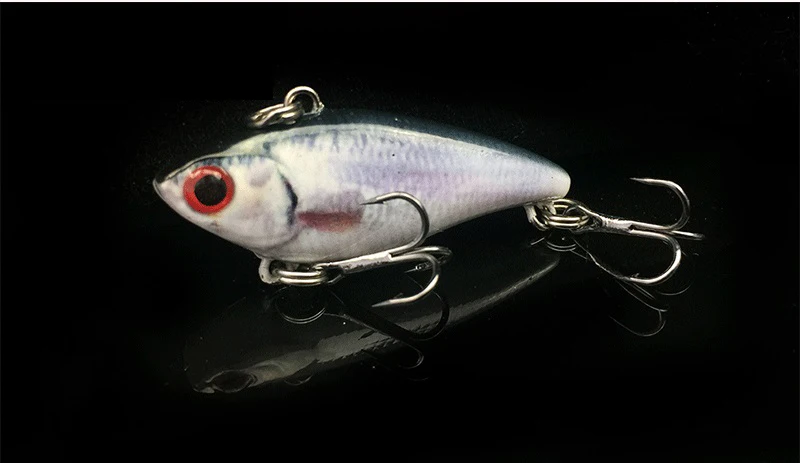 hard lure (1)