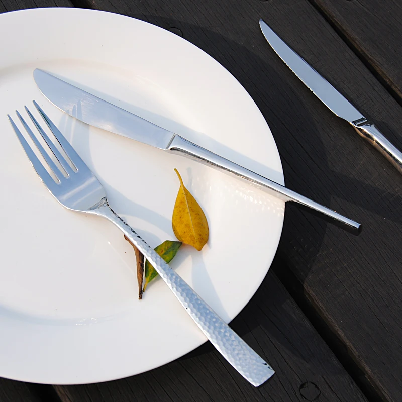 stainless steel cutlery set  (10)