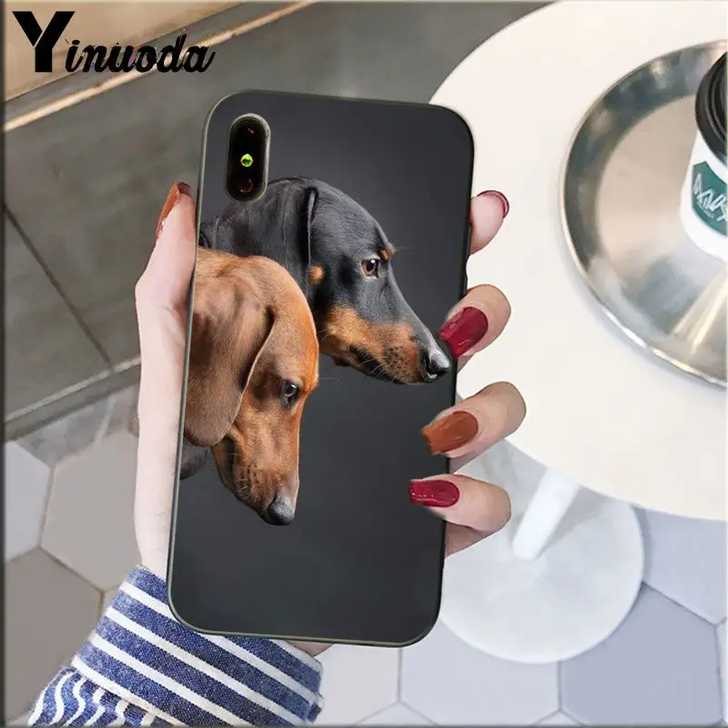 Dachshund Doberman Dog Silhouette