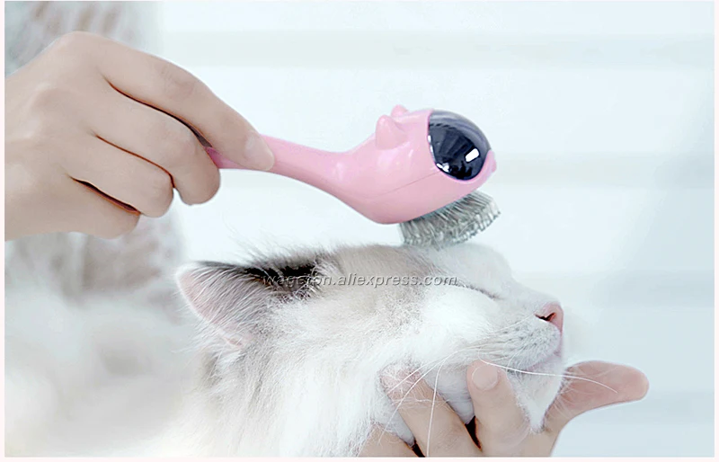 24 grooming brush 