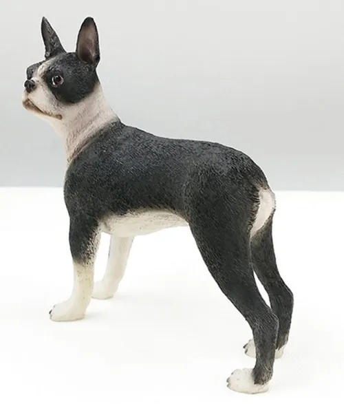 American BOSTON TERRIER dog figure 6