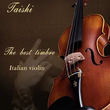 Тайши скрипка 4/4 Профессиональный 3/4 Violino Copiar Antonio Stradivari Cremonese 1716 Modelo do Brasil Arco de Violino Breu