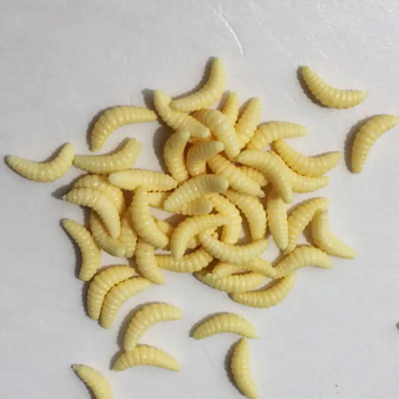 Artificial wax worms Clearance