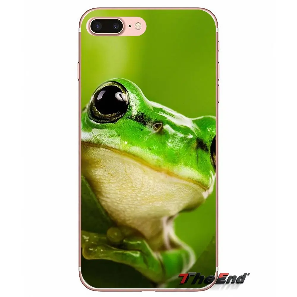 Силиконовый чехол для Samsung Galaxy S3 S4 S5 MINI S6 S7 edge S8 Plus Note 2 3 4 5 Grand Core Prime Frogs A rainbow frog