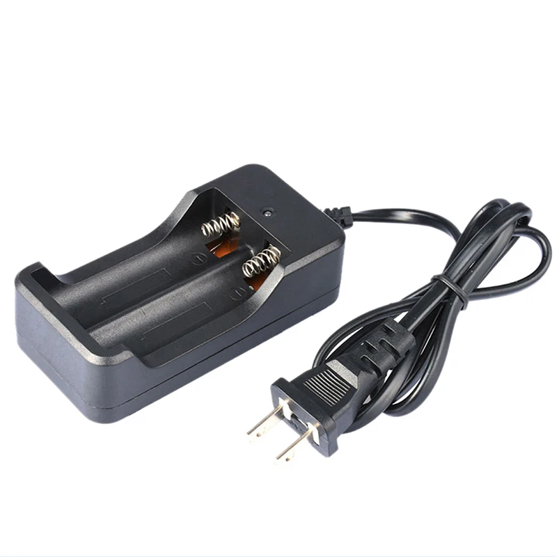 2 слота AC 110V 220V двойное зарядное устройство 18650 для зарядки 4 V литий ионная