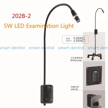 Good Quality 5W LED Surgical Medical Exam Light Floor prop Examination Light CE FDA approval Good Quality 5W LED Surgical Medical Exam Light Floor prop Examination Light CE FDA approval
